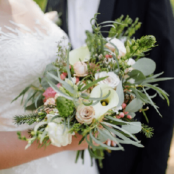 Floristerias Sant Agusti de Lluçanes